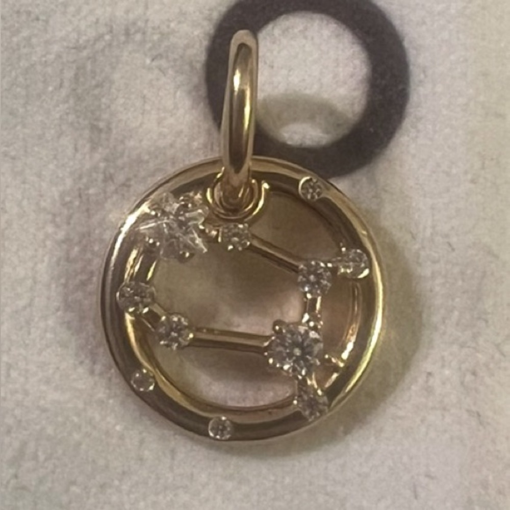 Pandora Gemini Zodiac Dangle Charm
14k gold plating